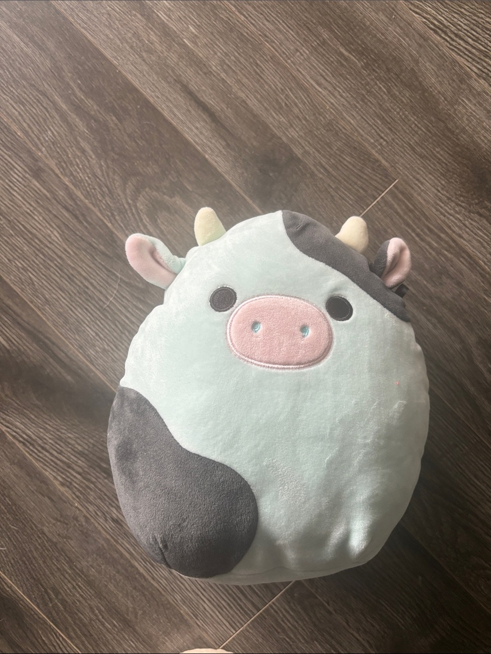 squishmallow cow